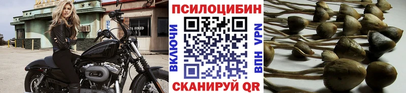 Галлюциногенные грибы GOLDEN TEACHER  Купить где  Семёнов 